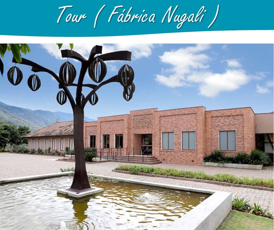 Passeios Santa Catarina - Passeios -  (2).JPG